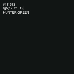#111513 - Hunter Green Color Image